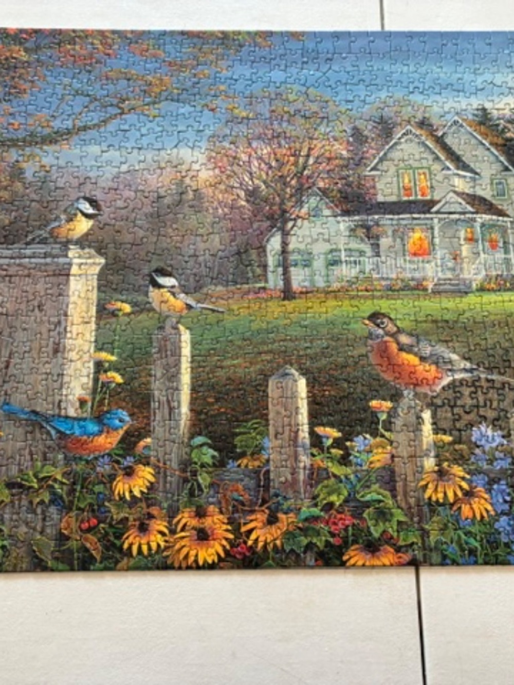 Cobble Hill 1000-Piece Puzzle by Sam Tim, entitled, “Evening Birds”